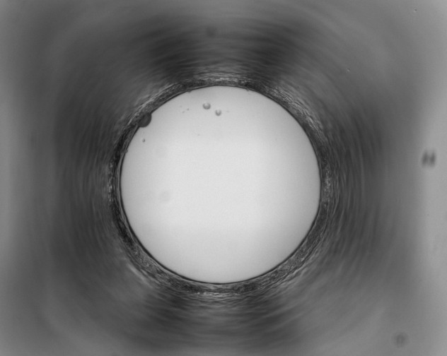 X0000098040255200804181304