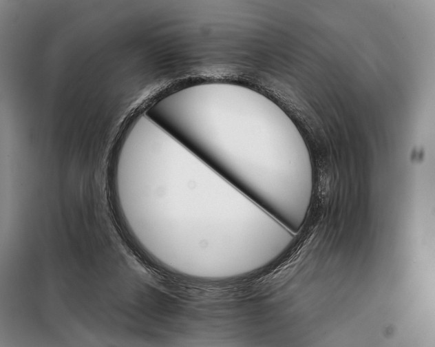 X0000098040256200804181304