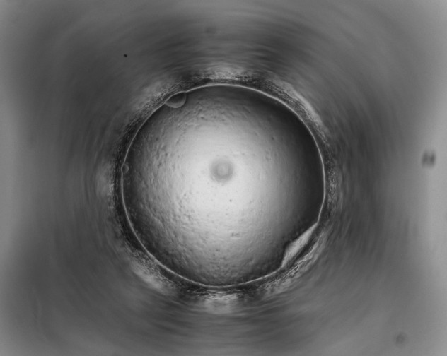 X0000098040257200804181304