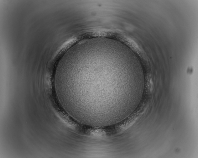 X0000098040258200804181304