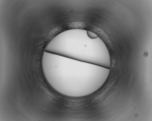 X0000098040259200804181304