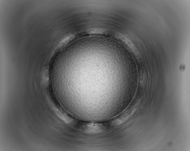 X0000098040261200804181304