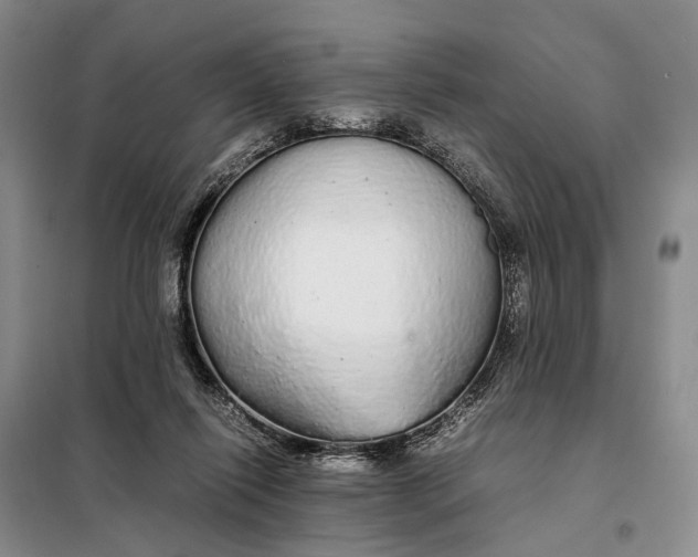 X0000098040262200804181304