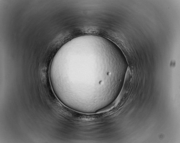 X0000098040263200804181304