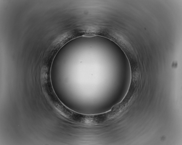 X0000098040264200804181304