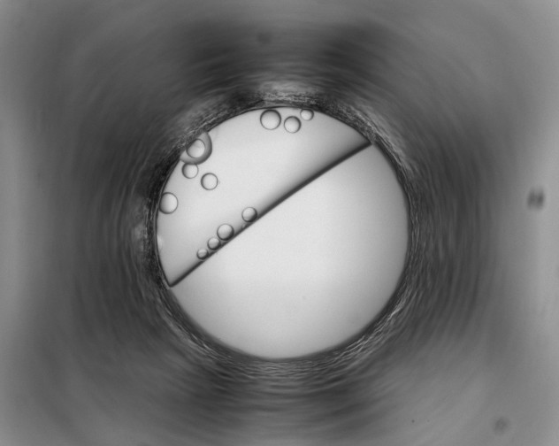 X0000098040265200804181304