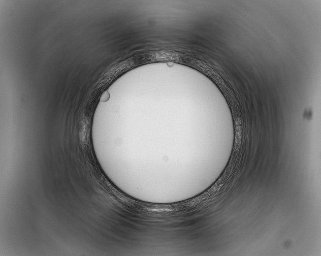 X0000098040266200804181304