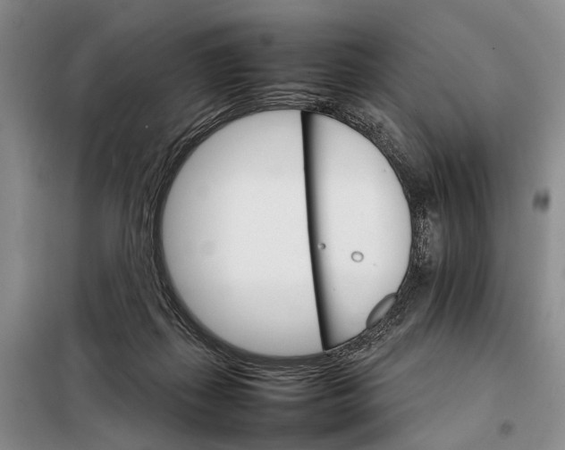 X0000098040267200804181304