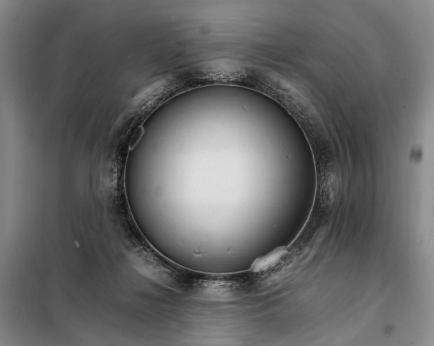 X0000098040268200804181304