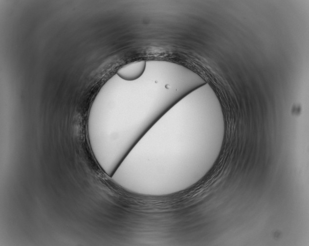 X0000098040270200804181304