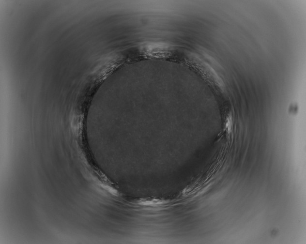 X0000098040271200804181304