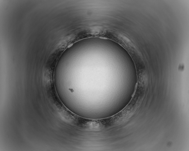 X0000098040272200804181304