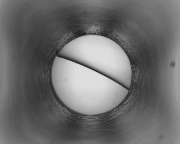 X0000098040273200804181304