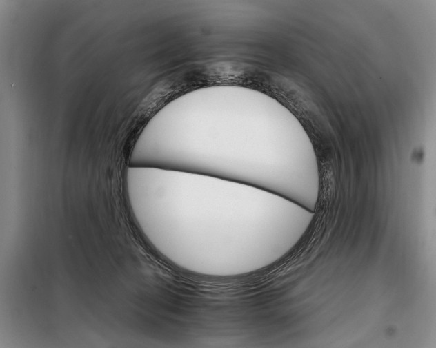 X0000098040274200804181304