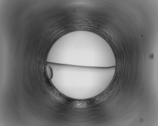 X0000098040275200804181304