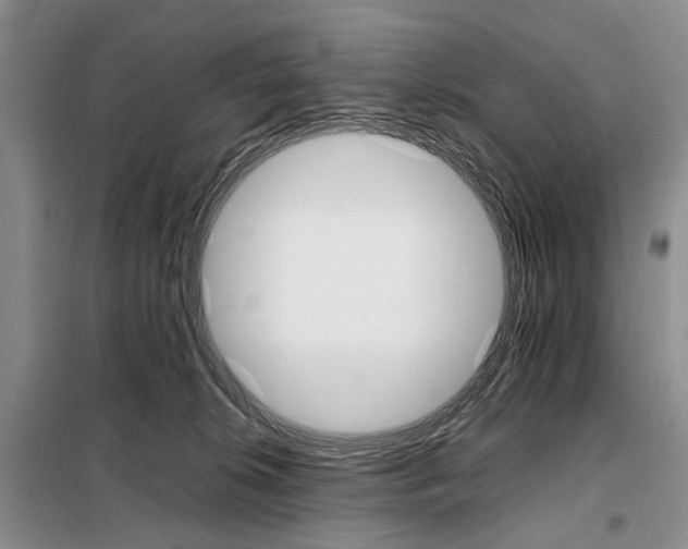 X0000098040276200804181304