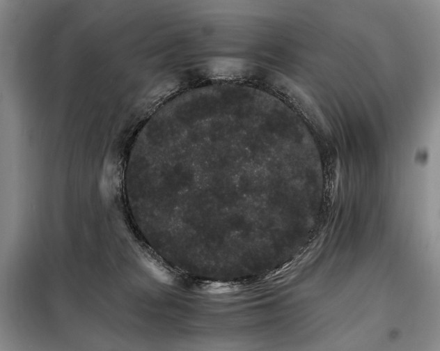 X0000098040277200804181304