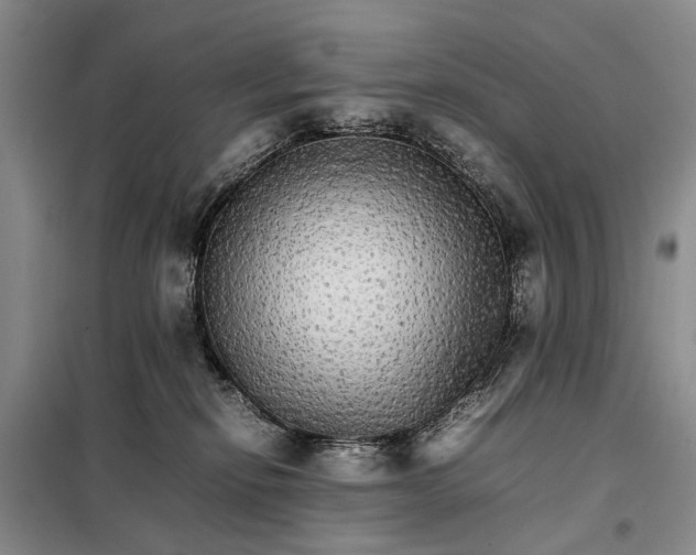 X0000098040278200804181304