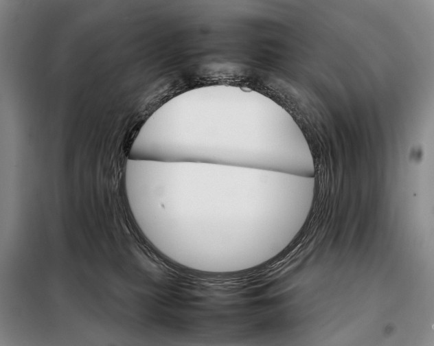 X0000098040279200804181304