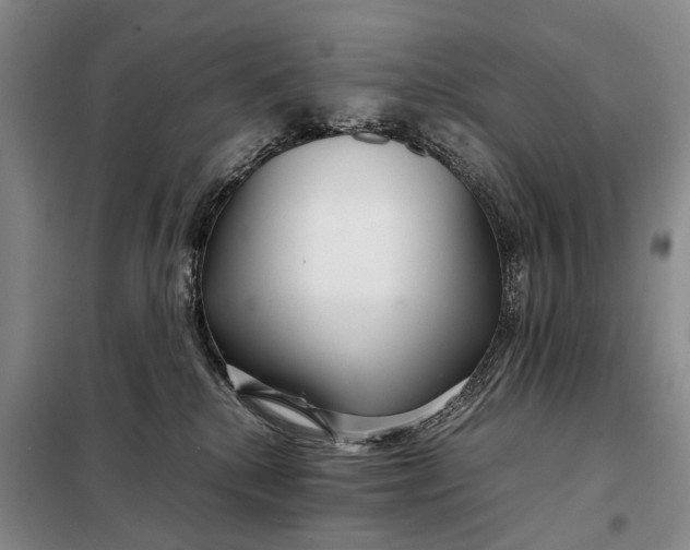 X0000098040280200804181304