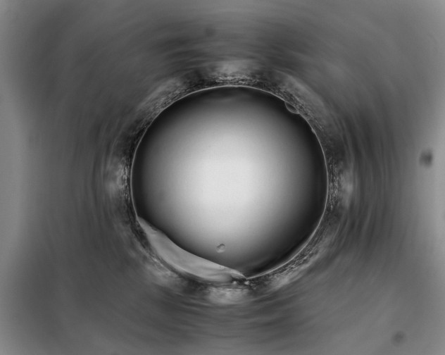 X0000098040281200804181304