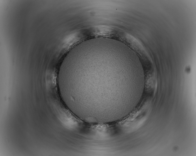 X0000098040282200804181304