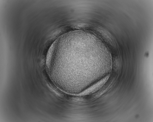 X0000098040284200804181304