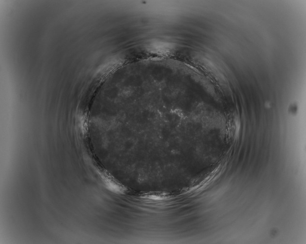 X0000098040285200804181304