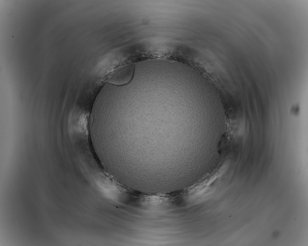 X0000098040286200804181304