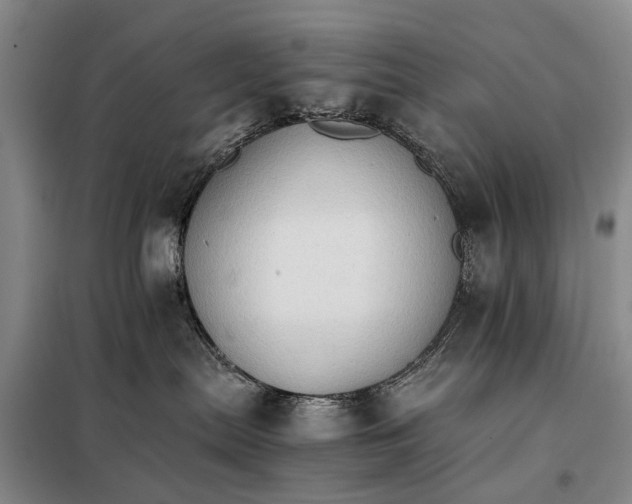 X0000098040287200804181304