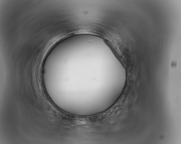 X0000098040289200804181304