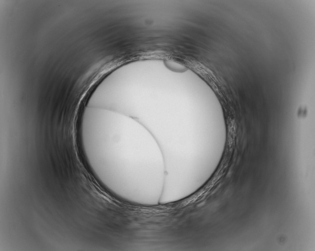 X0000098040290200804181304