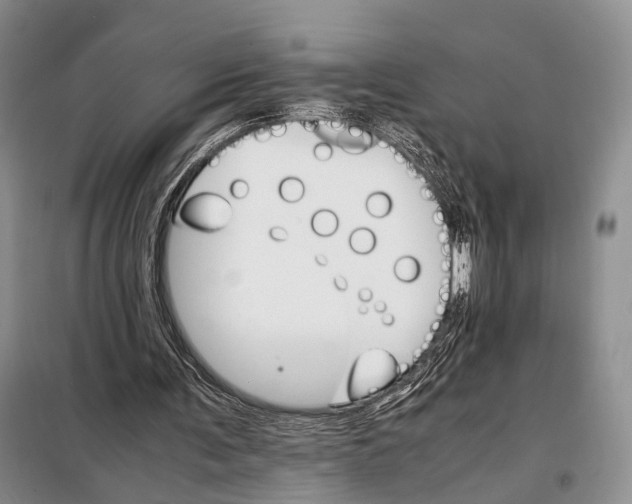 X0000098040291200804181304