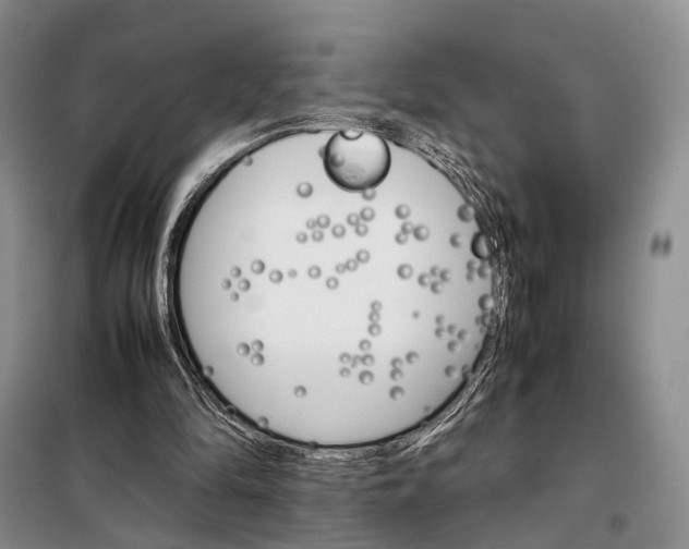 X0000098040294200804181303