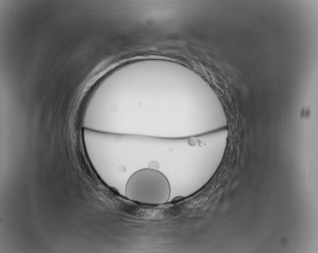 X0000098040295200804181303