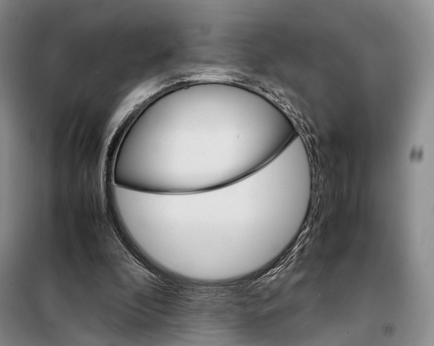 X0000098040296200804181303