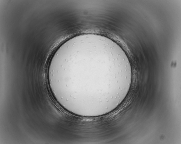 X0000098040298200804181303