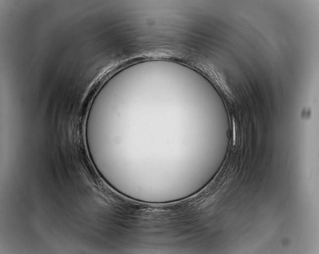 X0000098040300200804181303