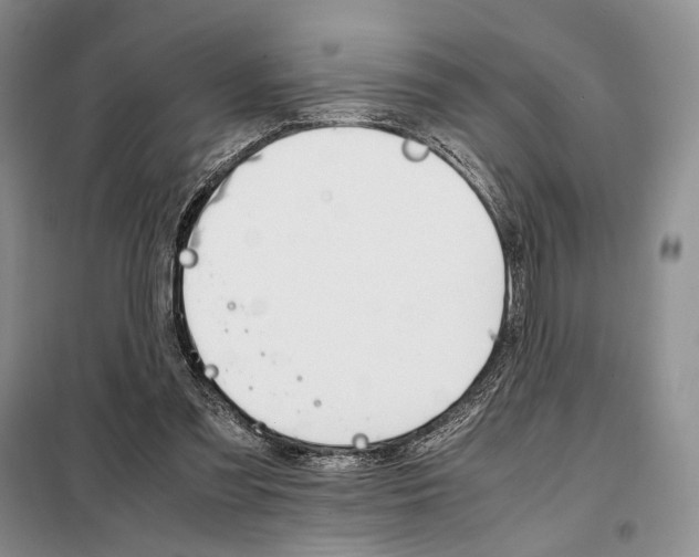 X0000098040301200804181303