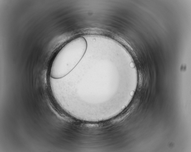 X0000098040302200804181303