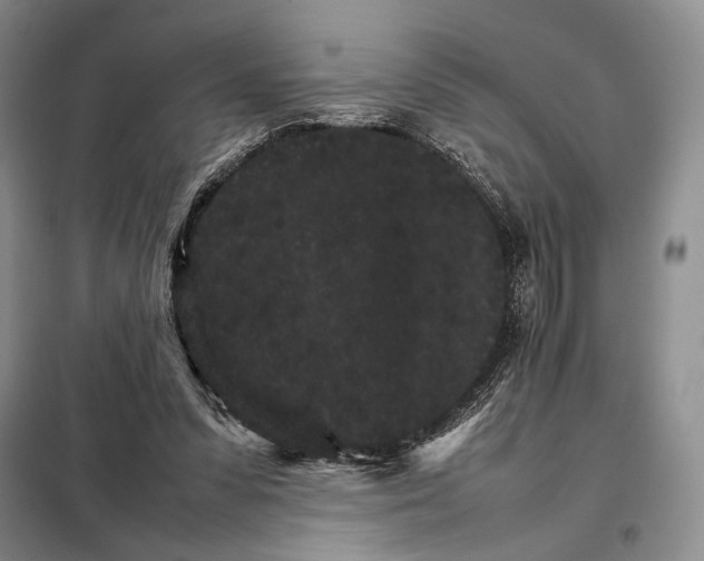 X0000098040303200804181303