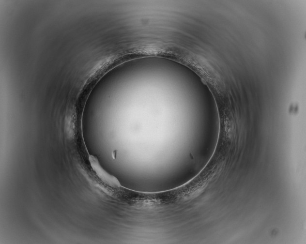 X0000098040304200804181303