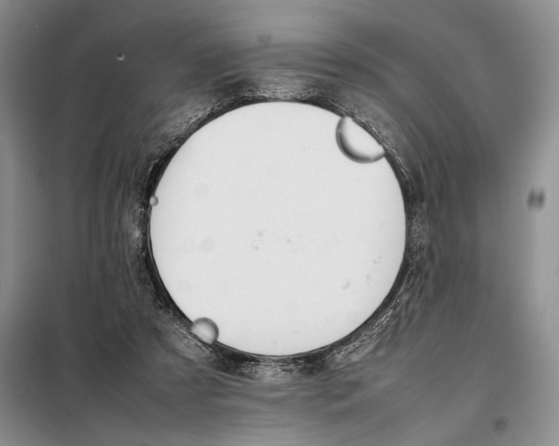 X0000098040305200804181303