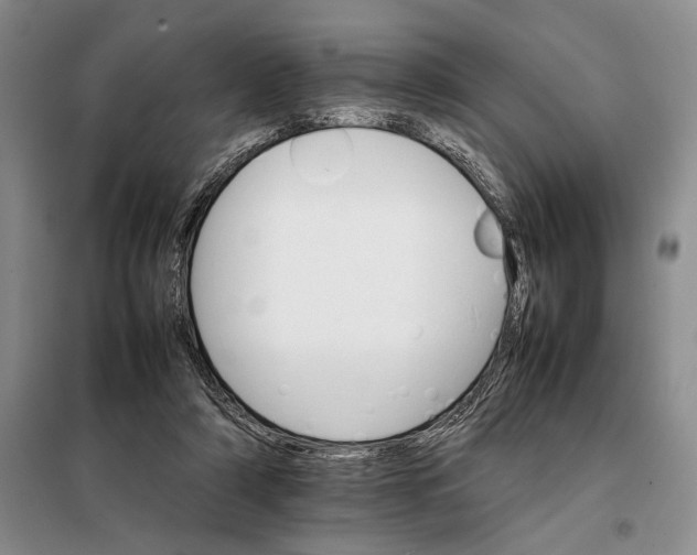 X0000098040306200804181303