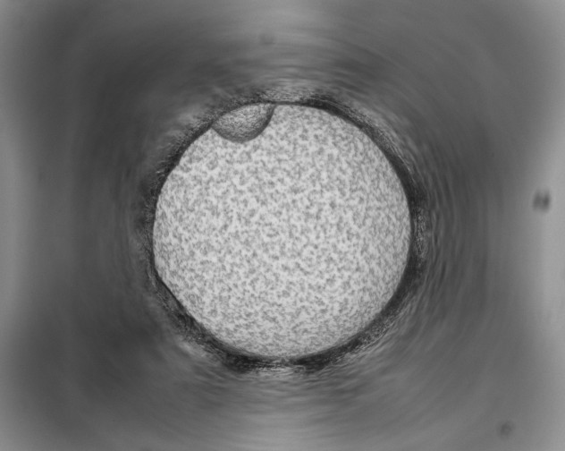 X0000098040307200804181303