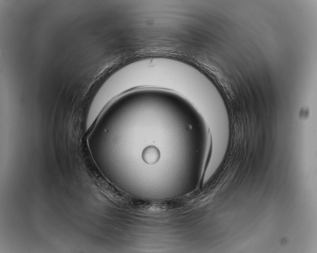 X0000098040308200804181303