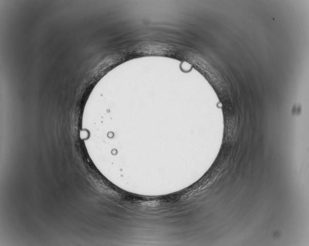 X0000098040309200804181303