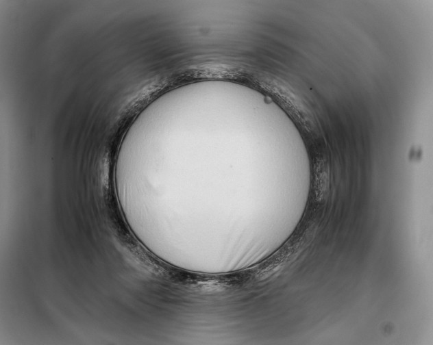 X0000098040310200804181303