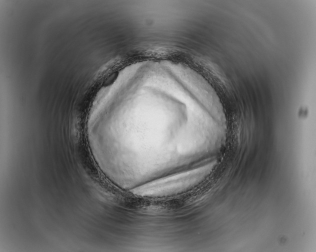 X0000098040312200804181303