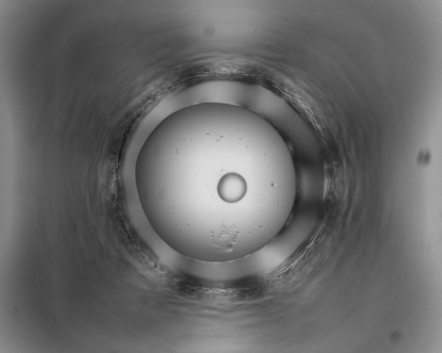 X0000098040313200804181303